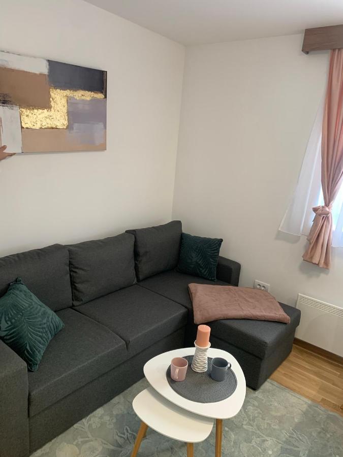 Apartment Zlatiborka *
