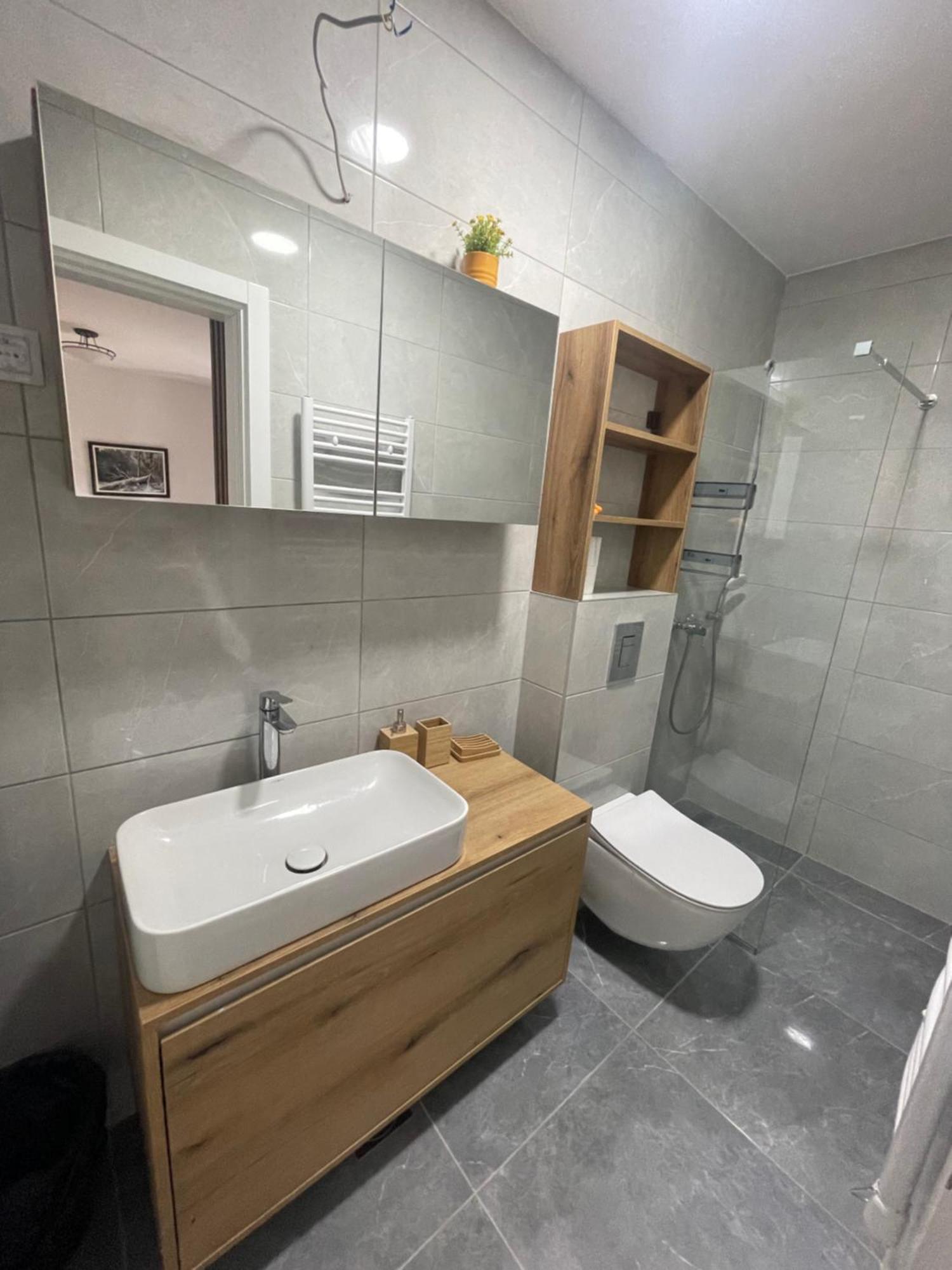 Apartment Zlatiborka Zlatibor
